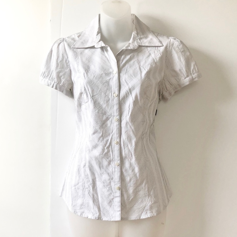Loft Button Down Dress Shirt